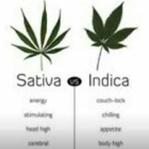 Meet your Posher, Erik